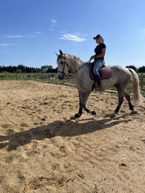 à vendre 