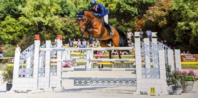 Hongre sf - 13 ans 1m79 - facile am 1 / elite