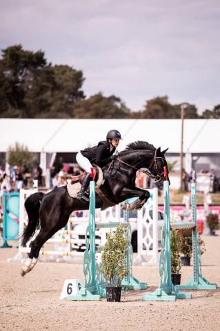 Poney de sport a vendre