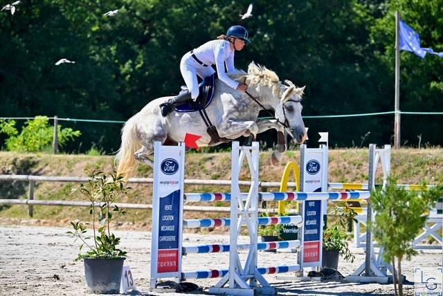 Jument 6 ans potentiel 2* cce et/ou cso