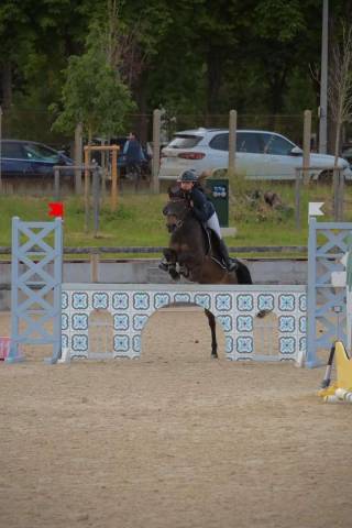 Ponette à vendre