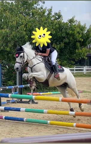 Poney d