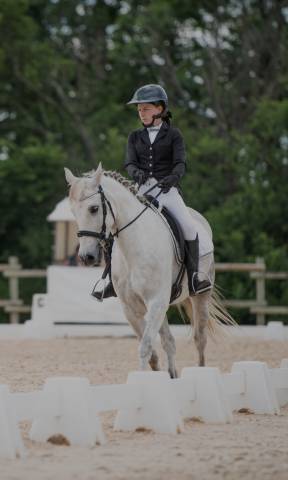 Poney d 7 ans 