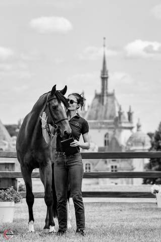 Offre stagiaire groom