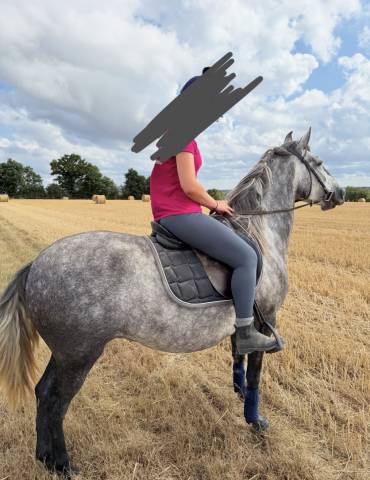 Ponette