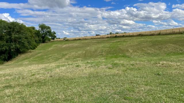 Pension pré / location pré chevaux yvelines 