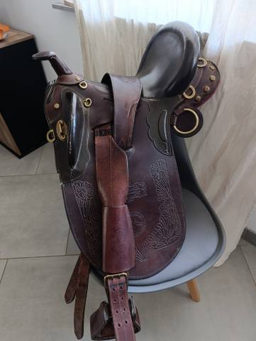 Selle australienne 