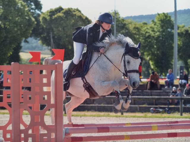 Poney de sport/famille 