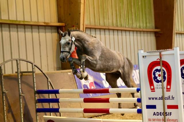 Entier pfs 145cm 3 ans