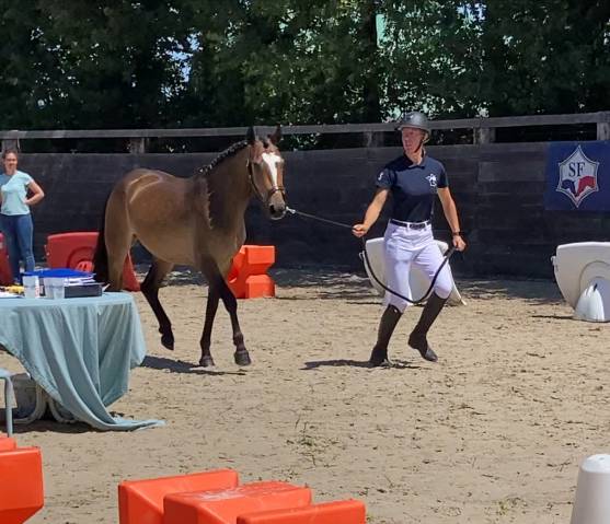 Ponette pfs 2 ans 
