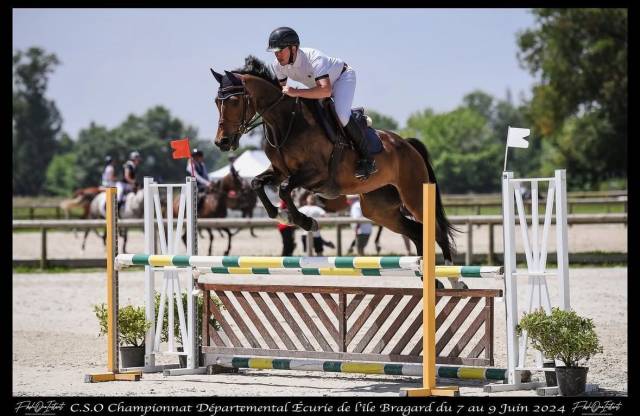 Orrike / jument 6 ans / cso