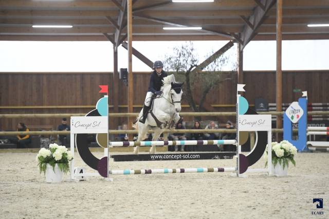 Poney de sport à vendre