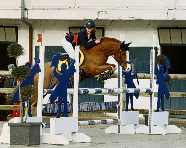 Poney à vendre 