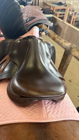 Selle atlas arion 
