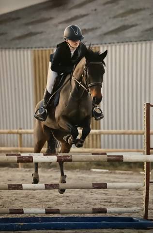 Jument de sport