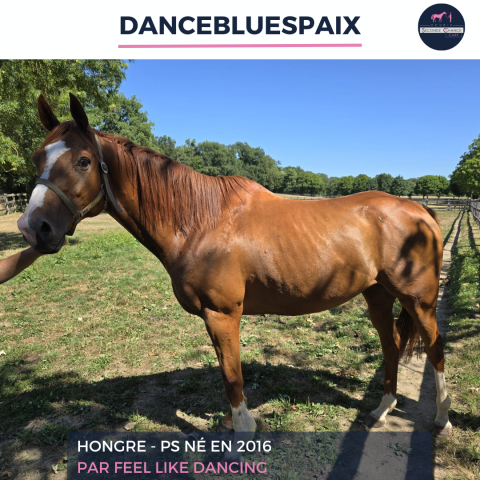 Dancebluespaix - ps - 9 ans