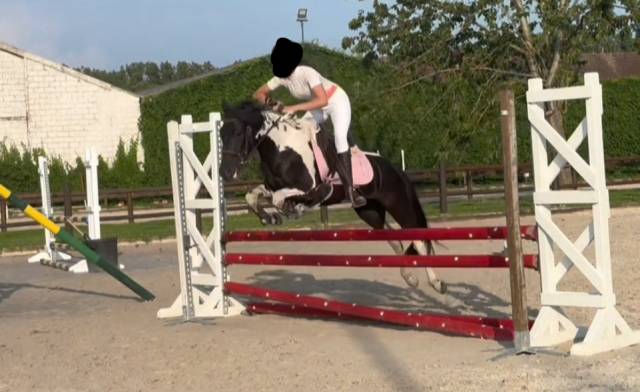 Ponette c de sport à vendre