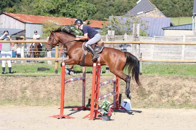Jument cso 9 ans