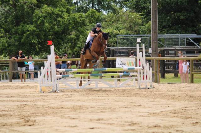 Jument sf 15 ans par allegreto moselle