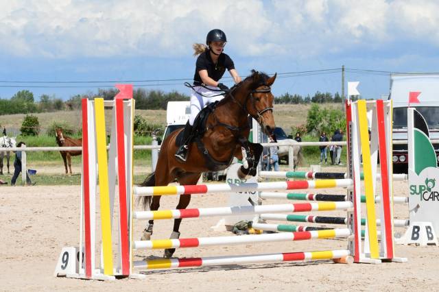 Poney de sport (cso - trec) à vendre 8 300€