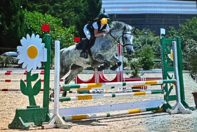 Ponette pfs maître d’école