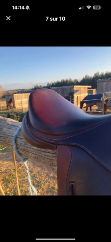 Selle éric thomas fitter 17,5” 