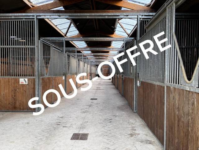 Haras fonctionnel et moderne pour projet équestre
