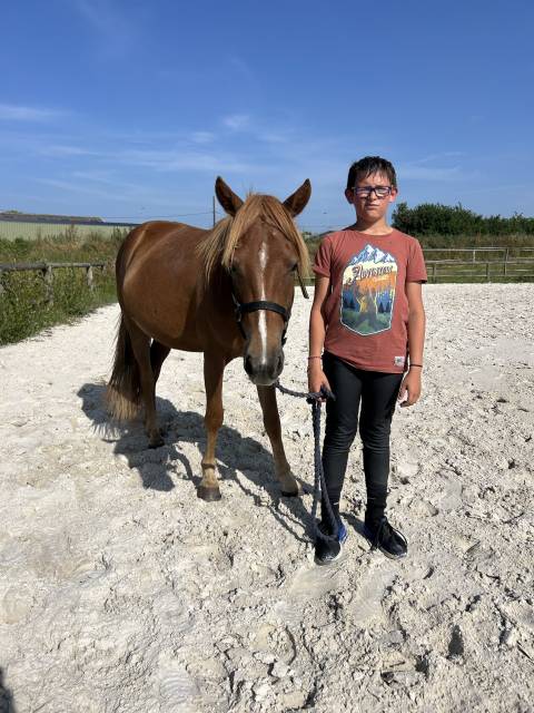 Poney c de 3 ans à vendre