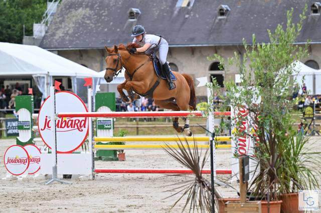 Hongre de 8 ans idéal passage poney—>cheval