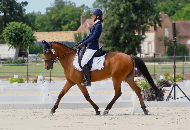 Poney c de sport cso/cce