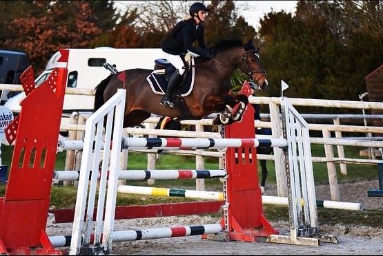 Poney d cso perfectionnement 