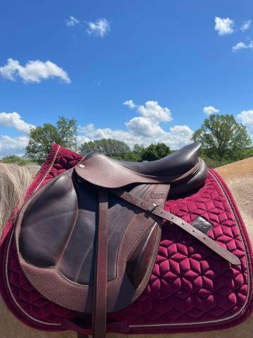 Selle cwd monoquartier