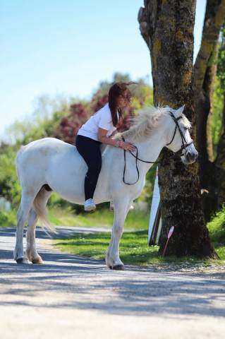 ? demi-pension bien-être sur poney retraité – 25 ans –