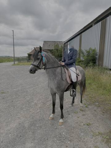 Ponette de sport c - 4 ans