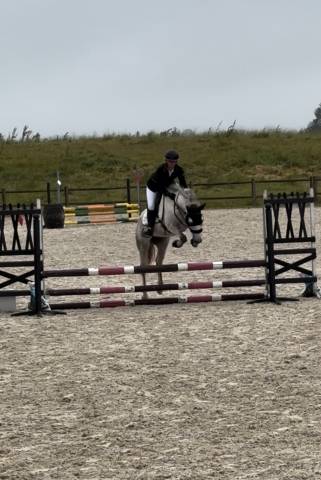 Ponette sport 