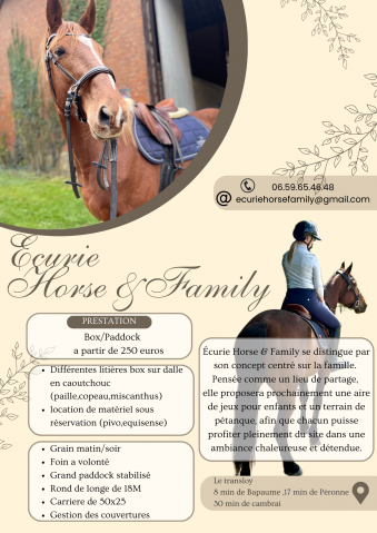 écurie de propriétaires -  écurie horse&family 62450 le transloy