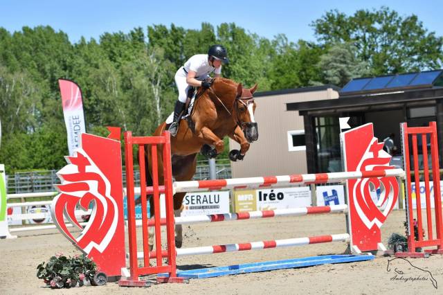 Cheval à vendre 