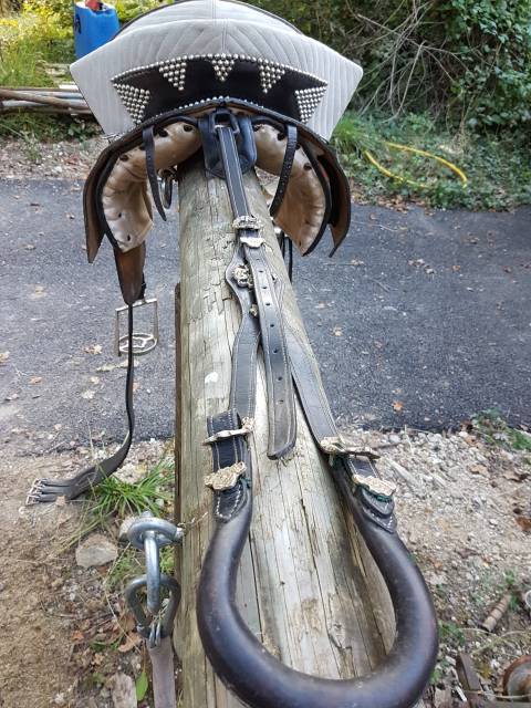 Vend selle iberique