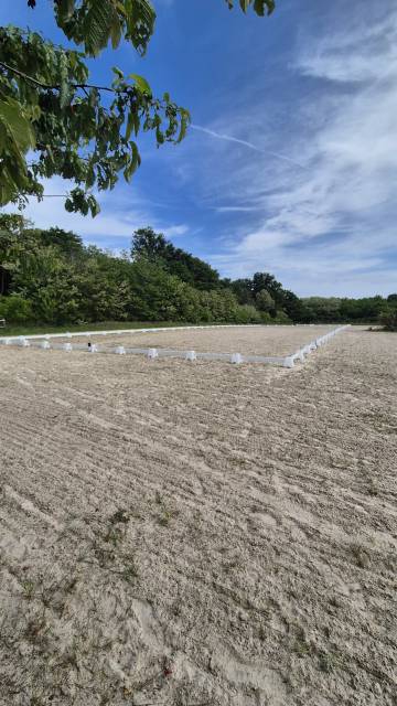 Deghaye dressage pension, cours, valorisation,...