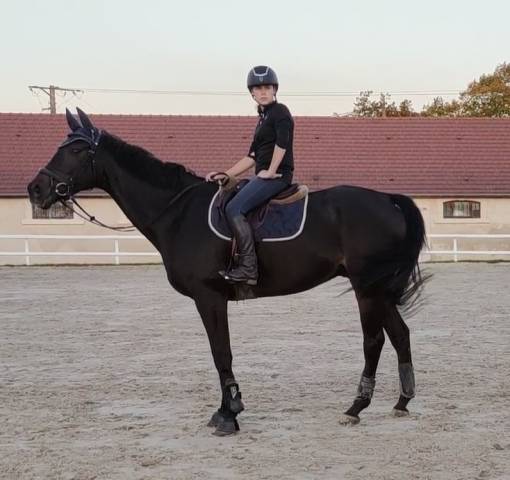 élégant psi 11 ans 