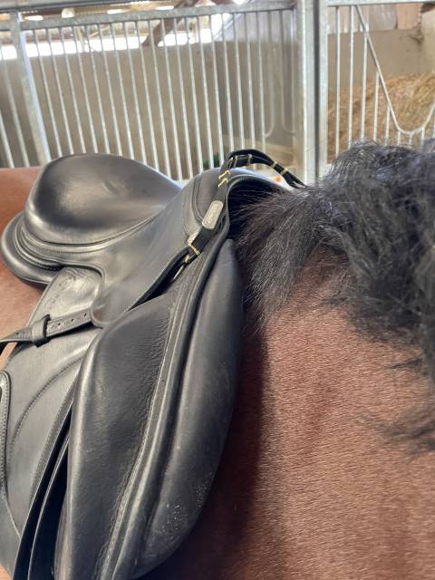 Selle antarès monoquartier