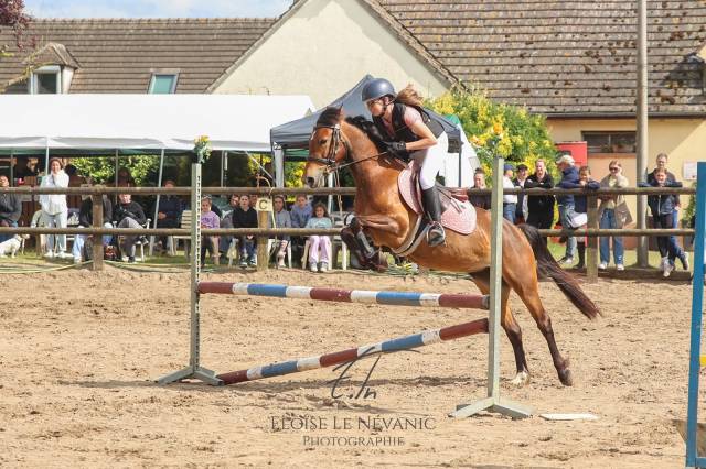 New forrest - jument, 5 ans