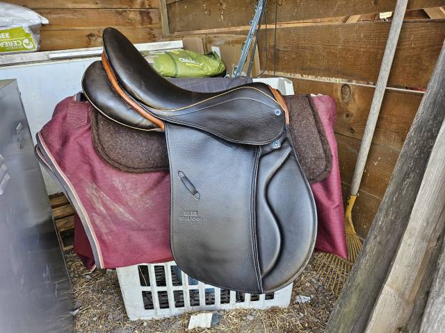 Stubben genesis vsd 18