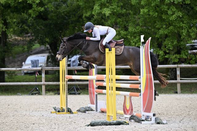Poney à vendre 