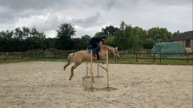 Jument poney sport loisir famille