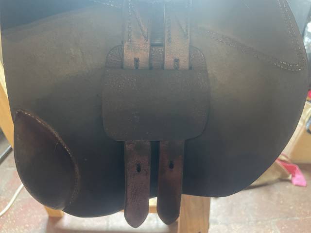Selle guy cantin 15,5