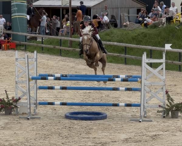 Futur poney de grand prix 