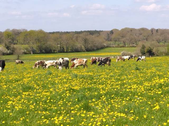 Exploitation agricole, gros potentiel, à reprendre