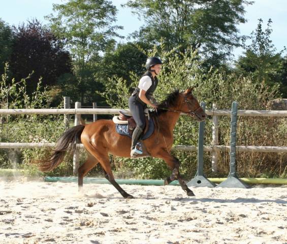 Ponette d cso 