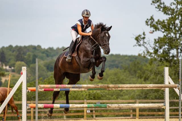 Jument 8 ans cso